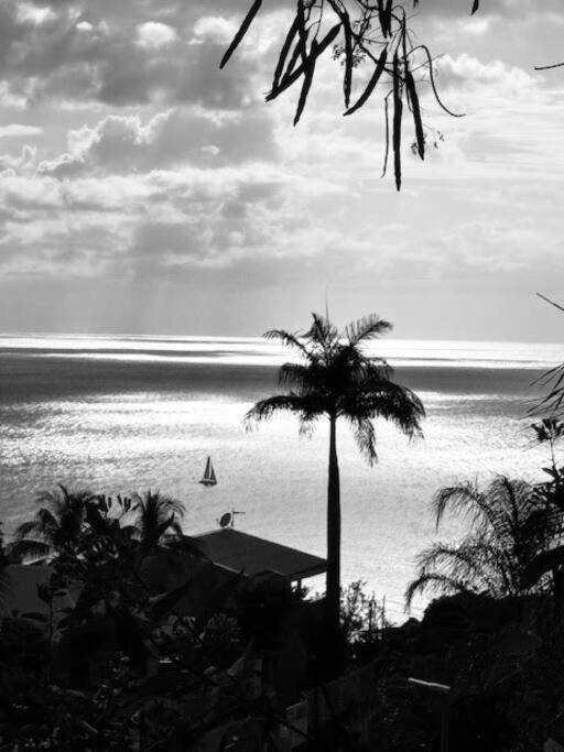 Ti Sucrier Jaune - Douceur Caraibe Vue Mer Le Carbet Kültér fotó