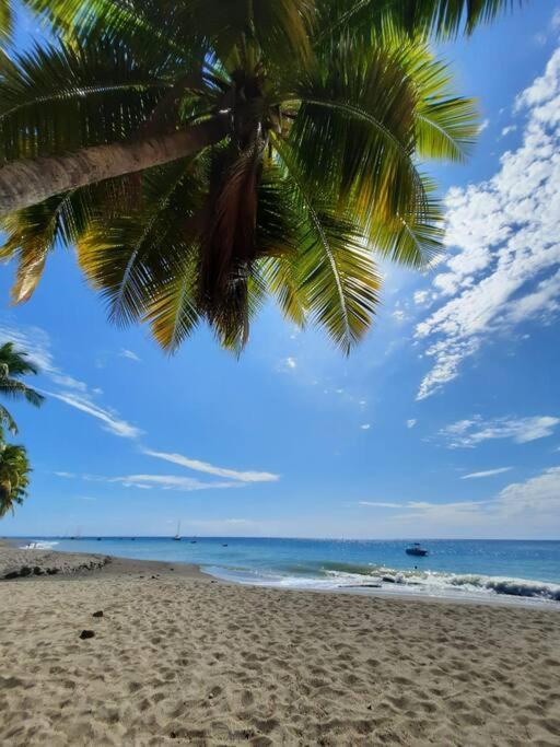 Ti Sucrier Jaune - Douceur Caraibe Vue Mer Le Carbet Kültér fotó