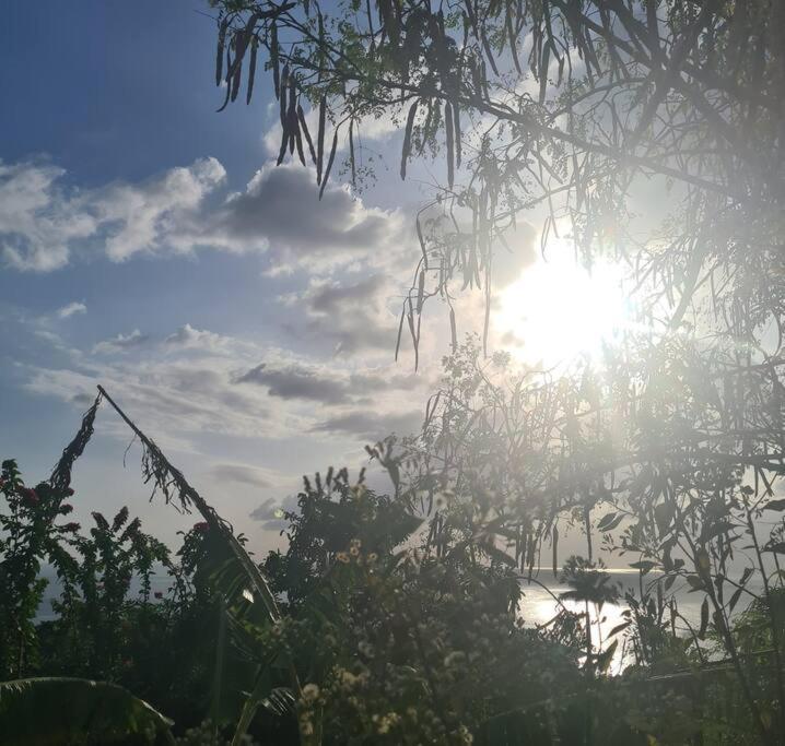 Ti Sucrier Jaune - Douceur Caraibe Vue Mer Le Carbet Kültér fotó