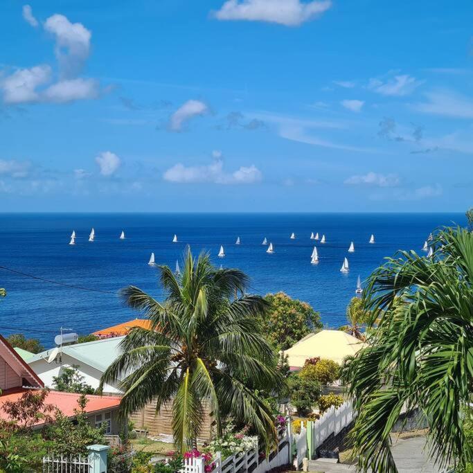 Ti Sucrier Jaune - Douceur Caraibe Vue Mer Le Carbet Kültér fotó