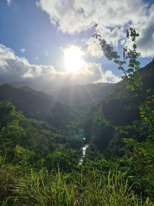 Ti Sucrier Jaune - Douceur Caraibe Vue Mer Le Carbet Kültér fotó
