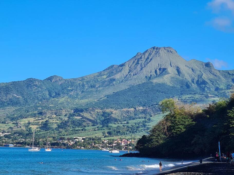 Ti Sucrier Jaune - Douceur Caraibe Vue Mer Le Carbet Kültér fotó