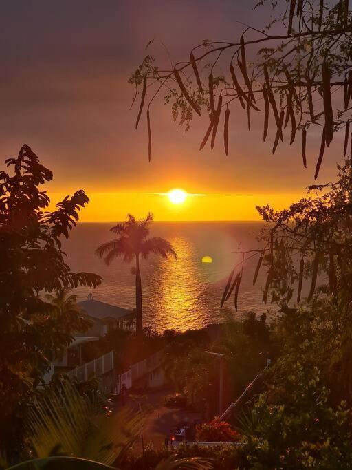 Ti Sucrier Jaune - Douceur Caraibe Vue Mer Le Carbet Kültér fotó